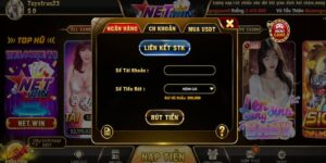 Quy trình rút tiền Net Win
