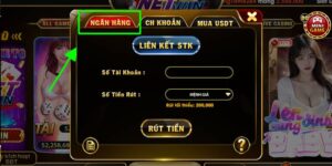 Quy trình rút tiền Net Win